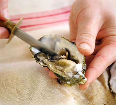 The Magic of Oyster Pairings: Discovering the Perfect Marinades